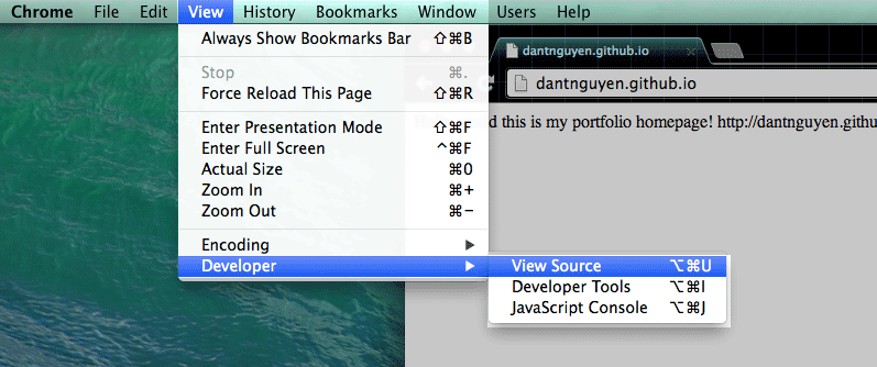 view source from the menubar